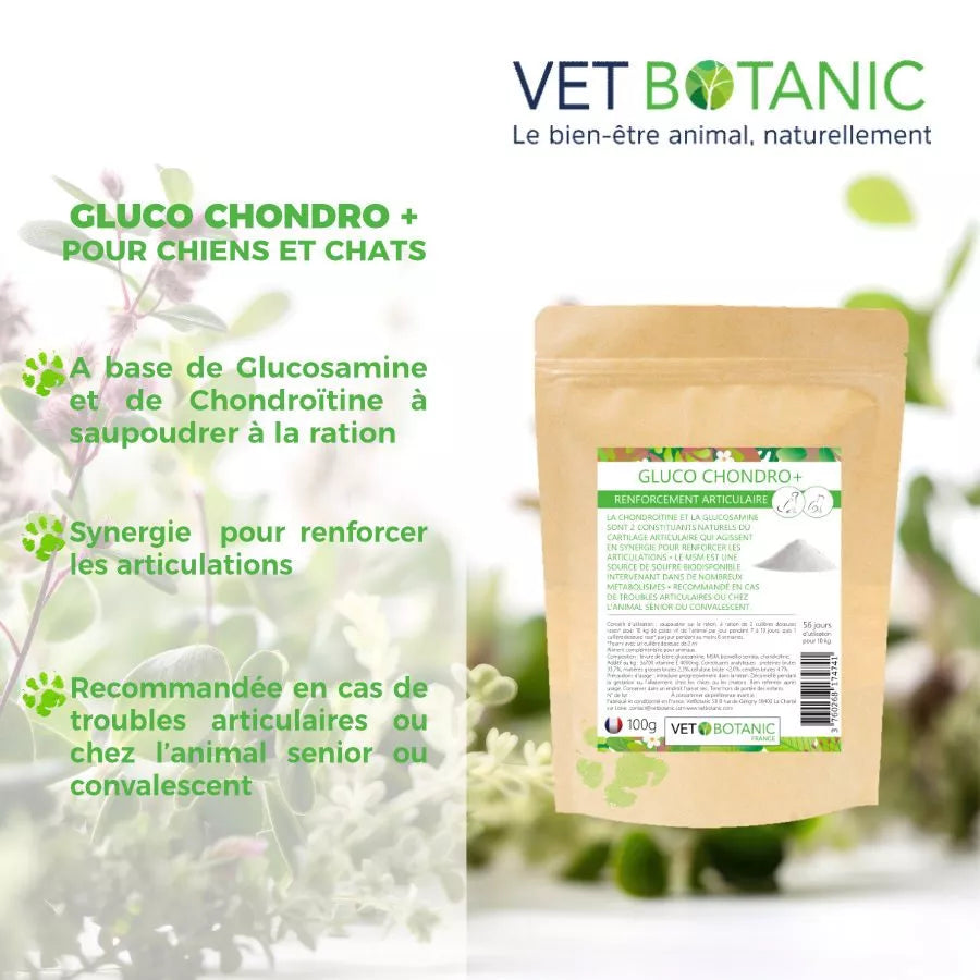 GLUCO CHONDRO + – Renforcement articulaire chiens et chats
