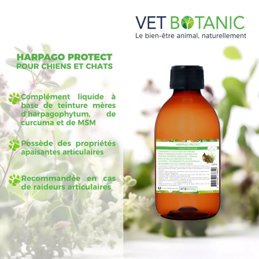 HARPAGO PROTECT – Confort articulaire du chien et du chat