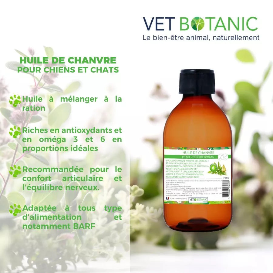 HUILE DE CHANVRE – Pelage et équilibre omégas chiens et chats