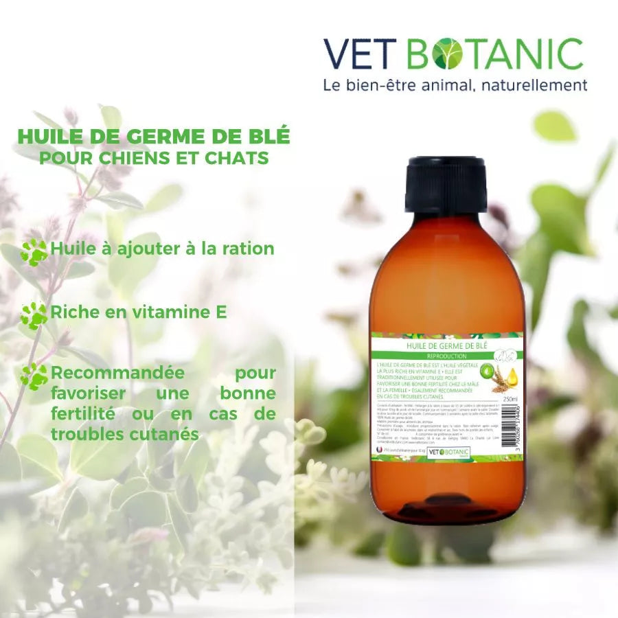 HUILE DE GERME DE BLE – Reproduction chiens et chats