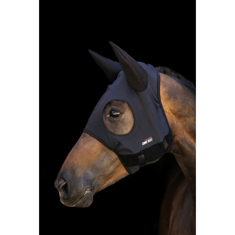 Masque LAMICELL en Titanium avec oreilles