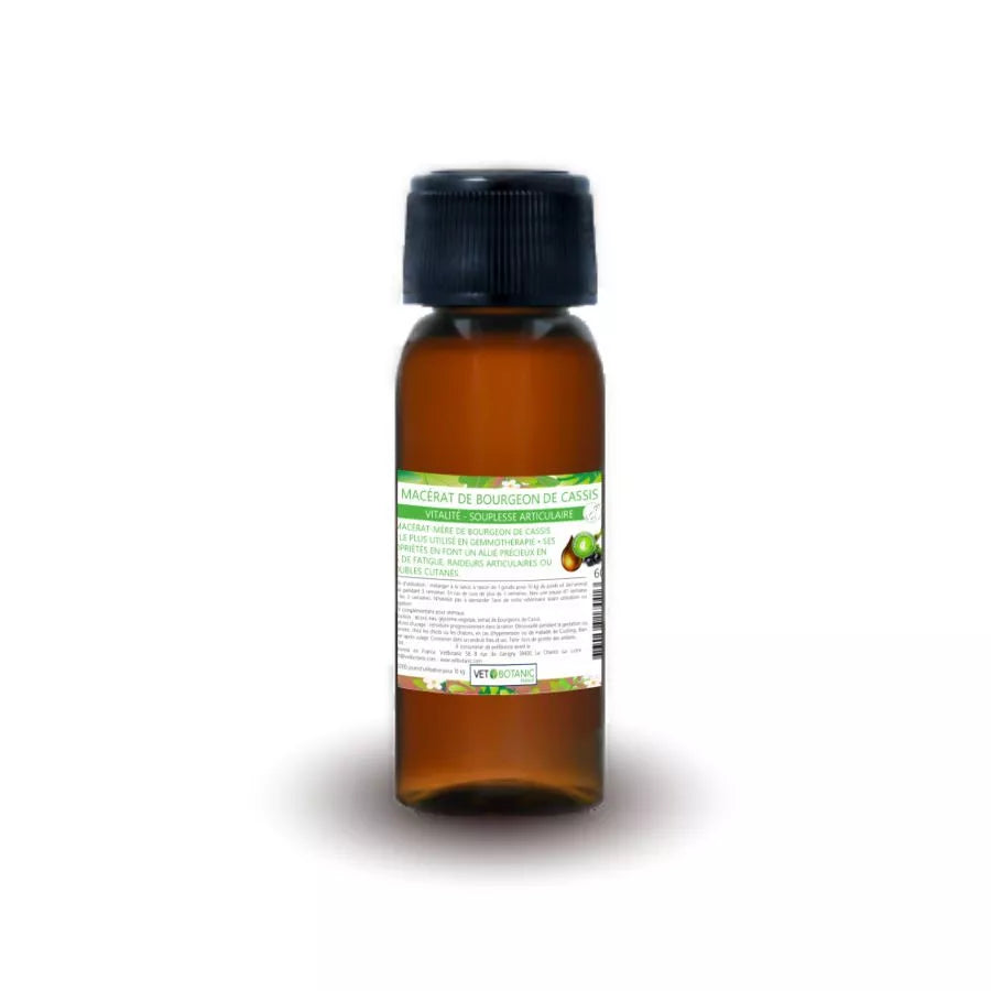 MACERAT BOURGEON DE CASSIS SANS ALCOOL – Vitalité et souplesse articulaire du chien et du chat