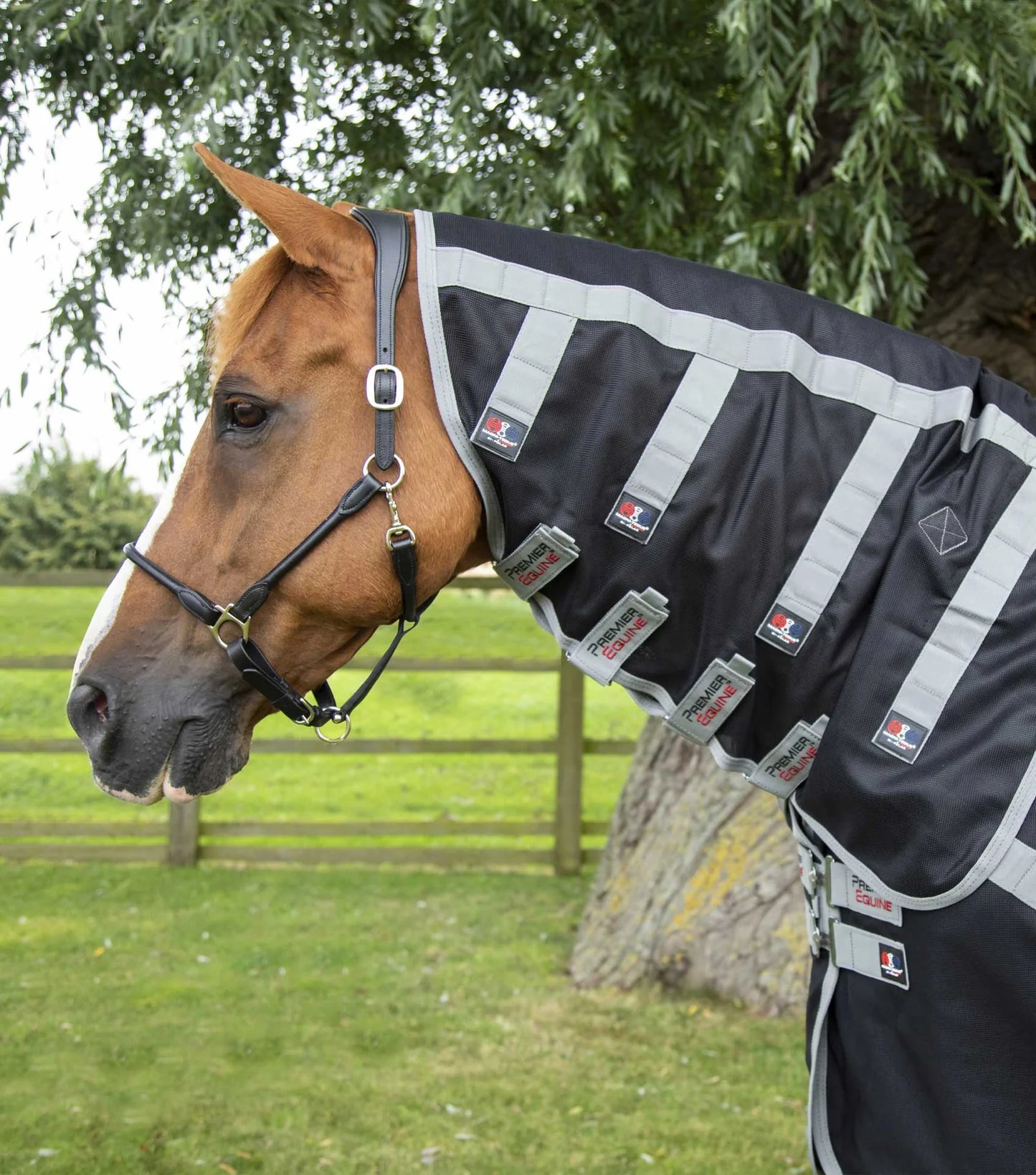 Couverture magnétique pour cheval Magni-Teque avec couvre-cou