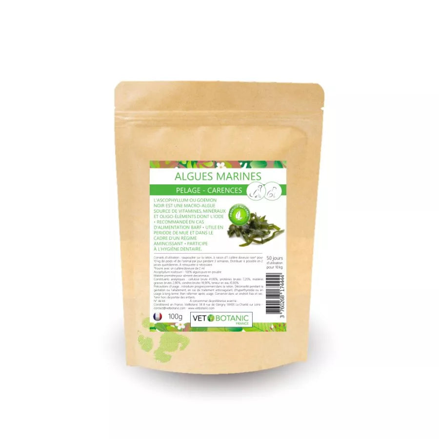 ALGUES MARINES plante pure en poudre – Pelage et carences chiens et chats