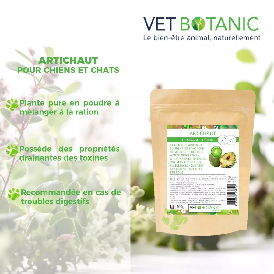 ARTICHAUT Plante pure en poudre – Drainage detox chiens et chats