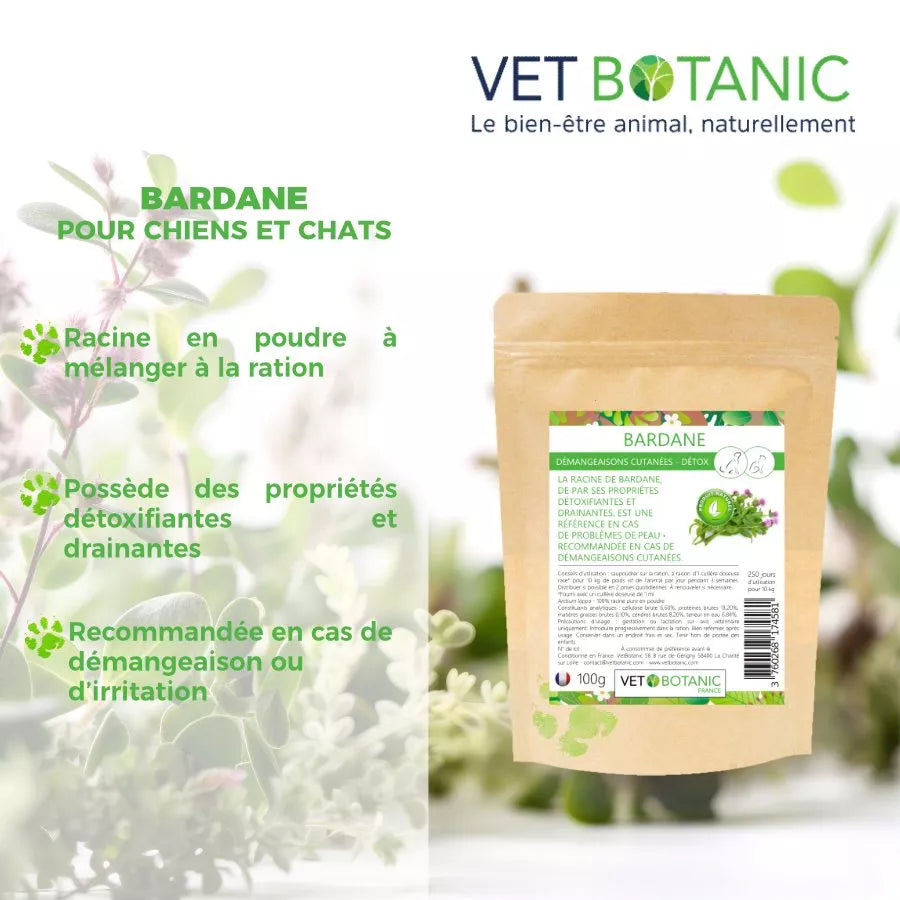 BARDANE Racine en poudre – Démangeaisons et détox chiens et chats