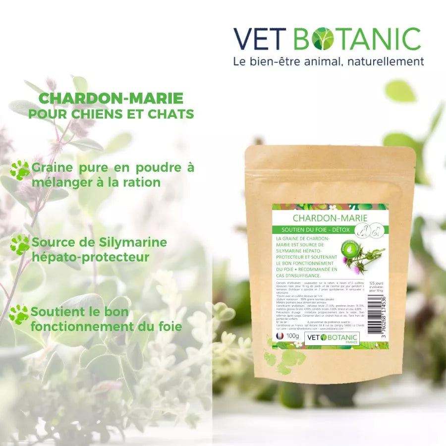 CHARDON-MARIE Graine pure en poudre – Soutien du foie et détox chiens et chats
