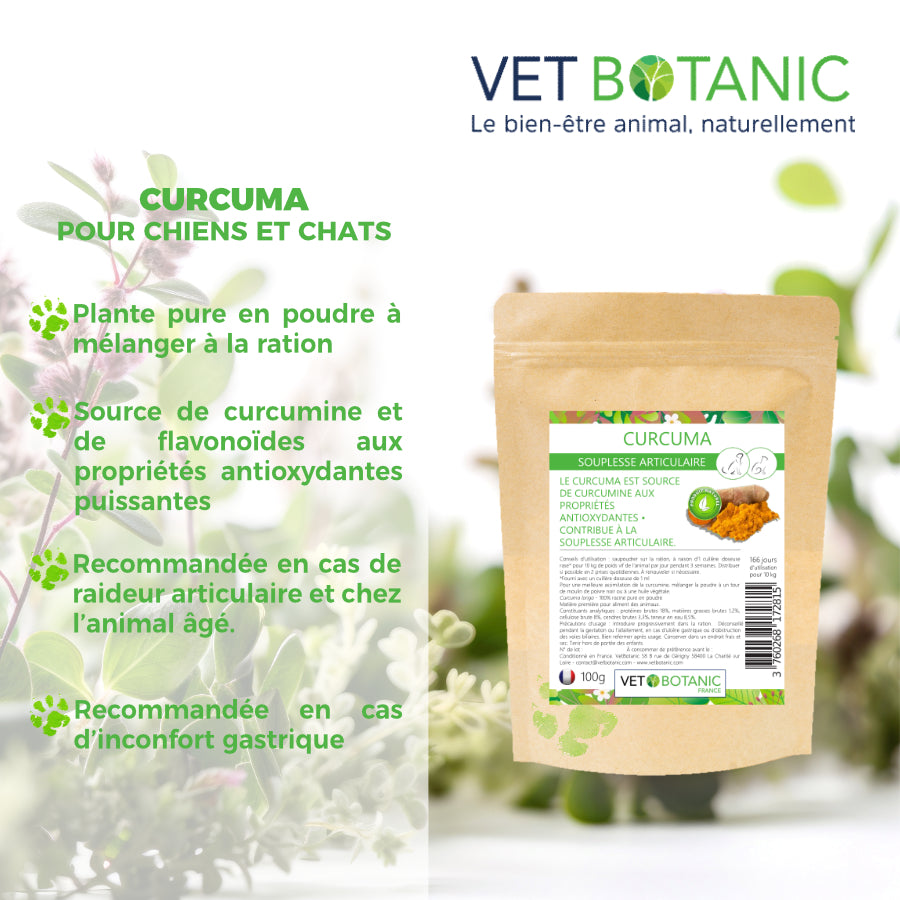 CURCUMA racine pure en poudre – Souplesse articulaire chiens et chats