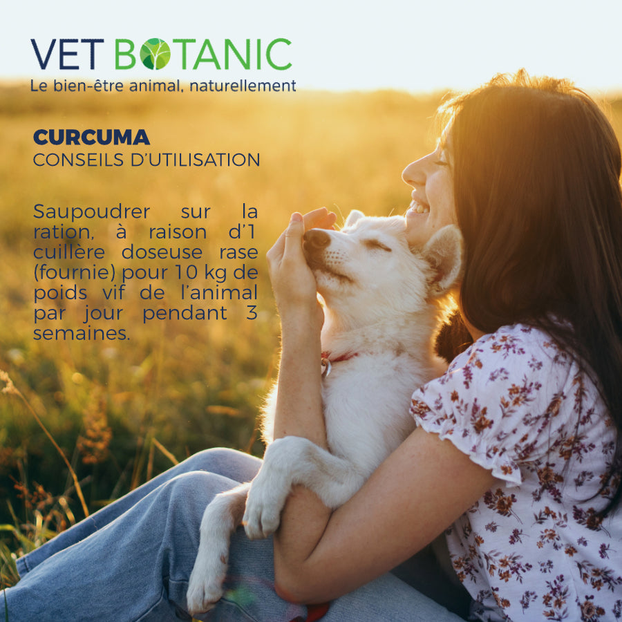 CURCUMA racine pure en poudre – Souplesse articulaire chiens et chats