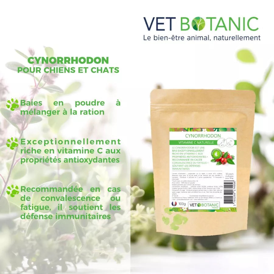 CYNORRHODON – Vitamine C naturelle pour le chien et le chat