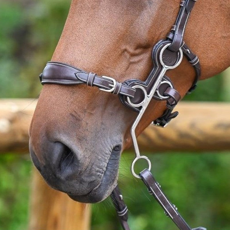 Nez de hackamore JUMP'IN plombé