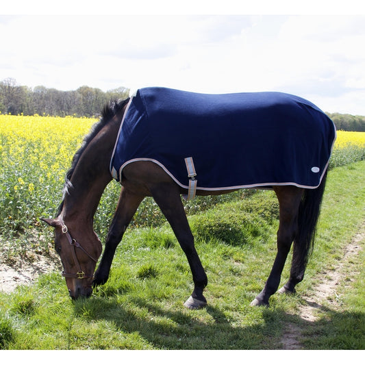 CHEMISE DE MARCHEUR/LONGE TdeT POLAIRE