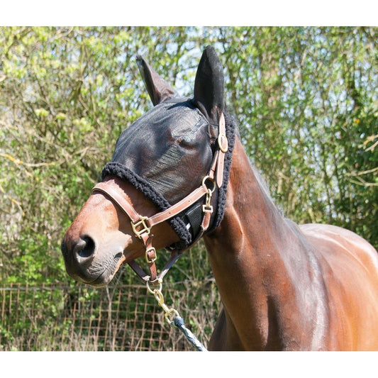 BONNET DE PRÉ NOIR TdeT en résille