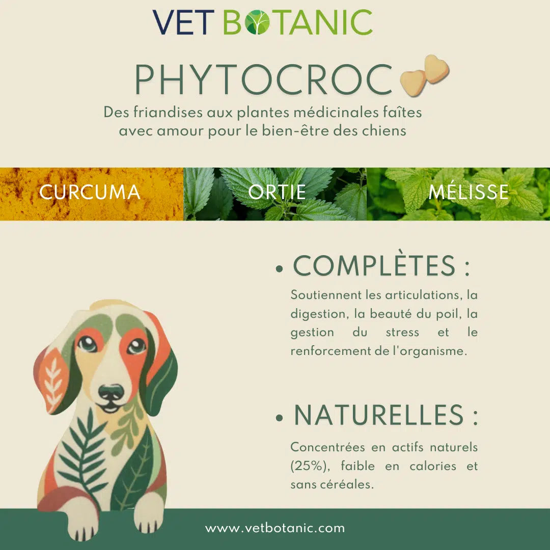 PHYTOCROC – Friandises aux plantes pour chiens