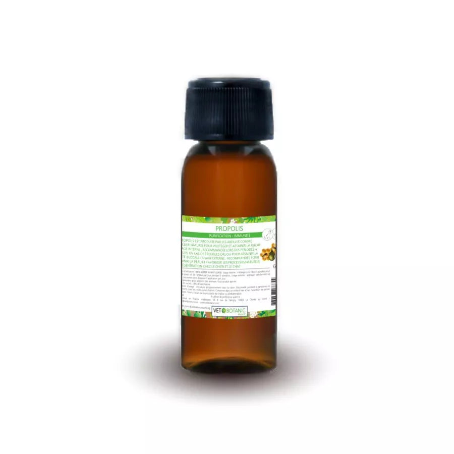 PROPOLIS – Purification et immunité chiens et chats