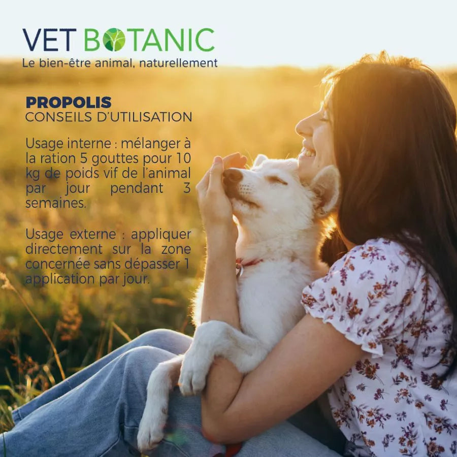 PROPOLIS – Purification et immunité chiens et chats