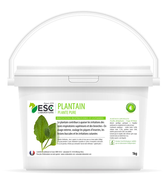 PLANTAIN ESC – Respiration et irritations cutanées cheval – Plante pure