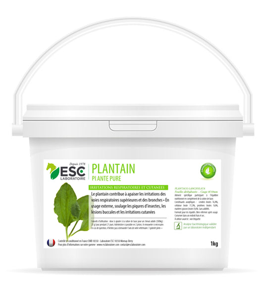 PLANTAIN ESC – Respiration et irritations cutanées cheval – Plante pure