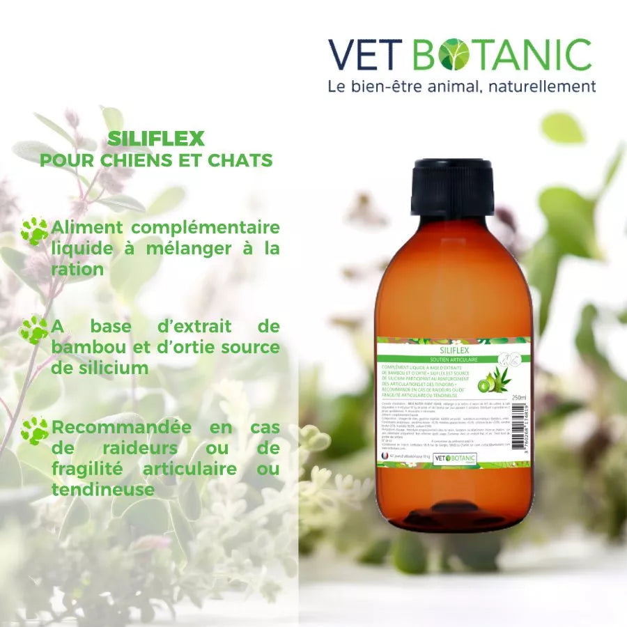 SILIFLEX – Soutien articulaire chiens et chats