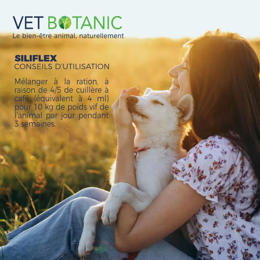 SILIFLEX – Soutien articulaire chiens et chats
