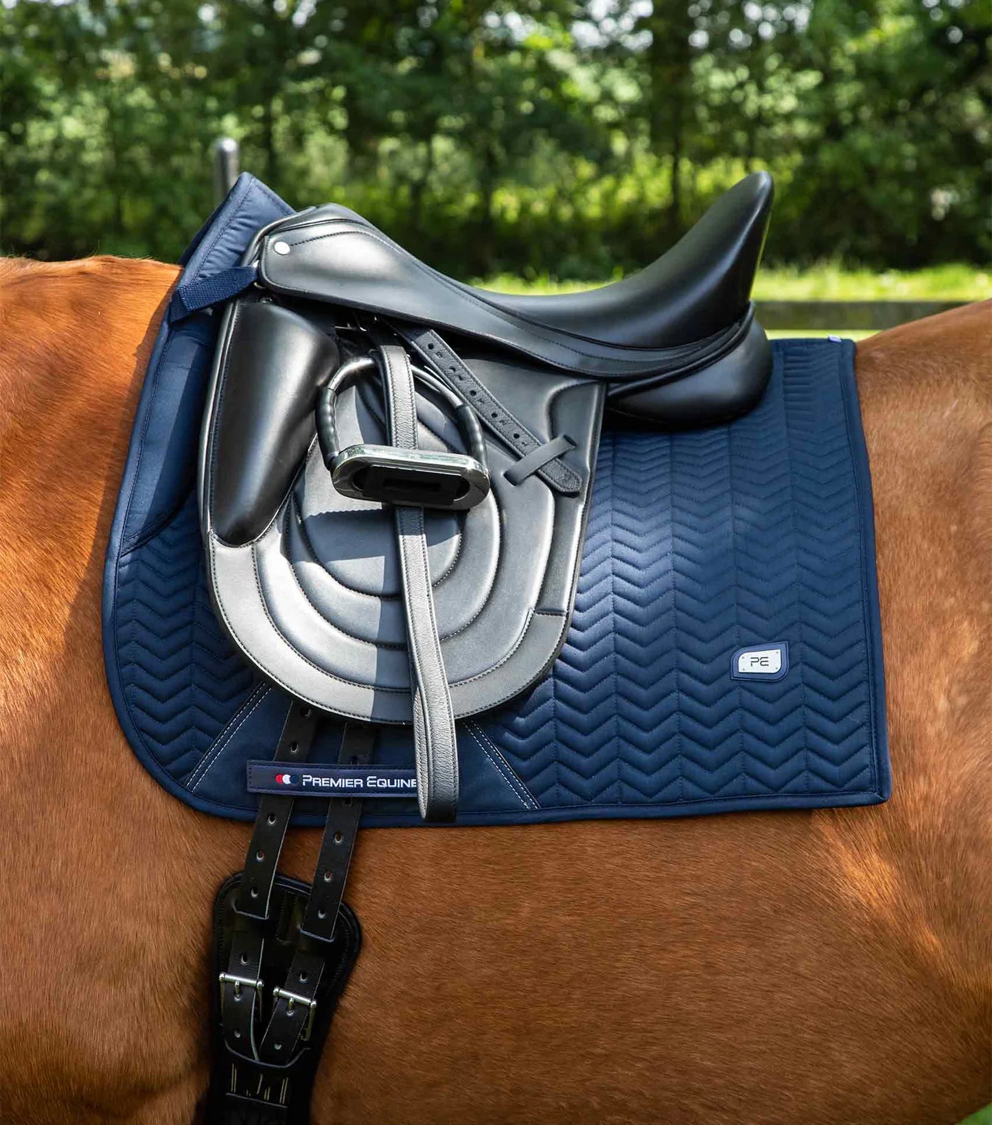 Tapis de dressage PREMIER EQUINE Sovereign