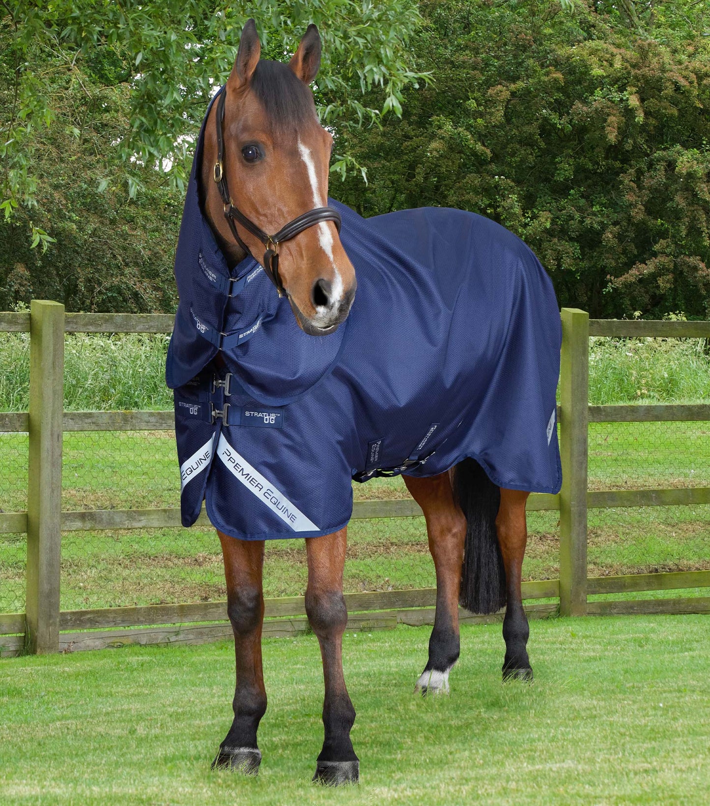 Couverture d'extérieur PREMIER EQUINE "Stratus 600D" 0gr avec couvre-cou classique amovible
