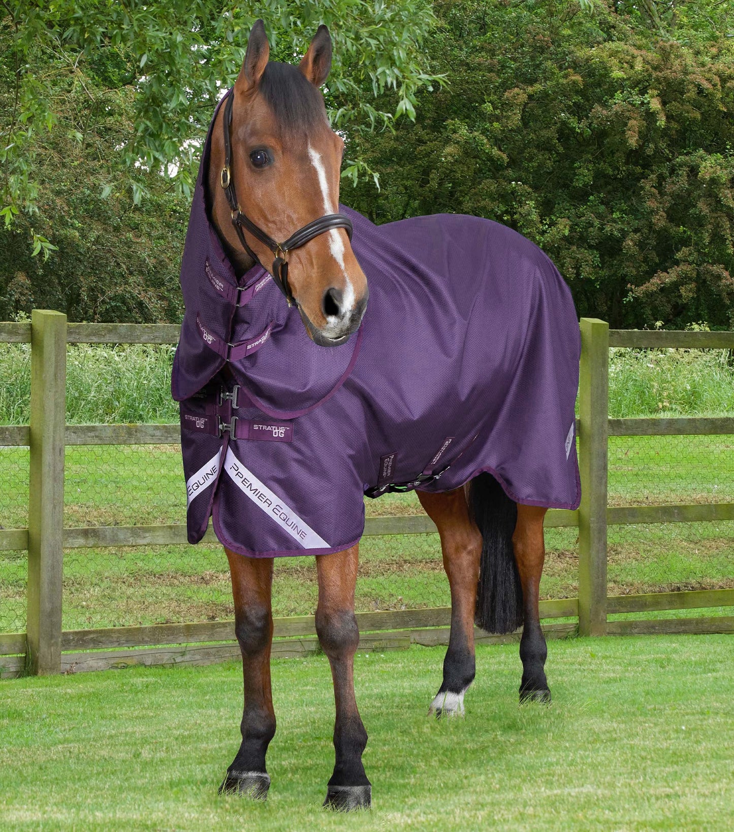 Couverture d'extérieur PREMIER EQUINE "Stratus 600D" 0gr avec couvre-cou classique amovible